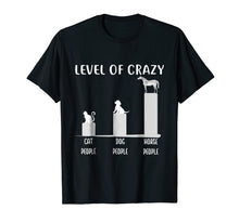 Load image into Gallery viewer, Appaloosa Horse Shirt, Level Of Crazy Horse T-Shirt
