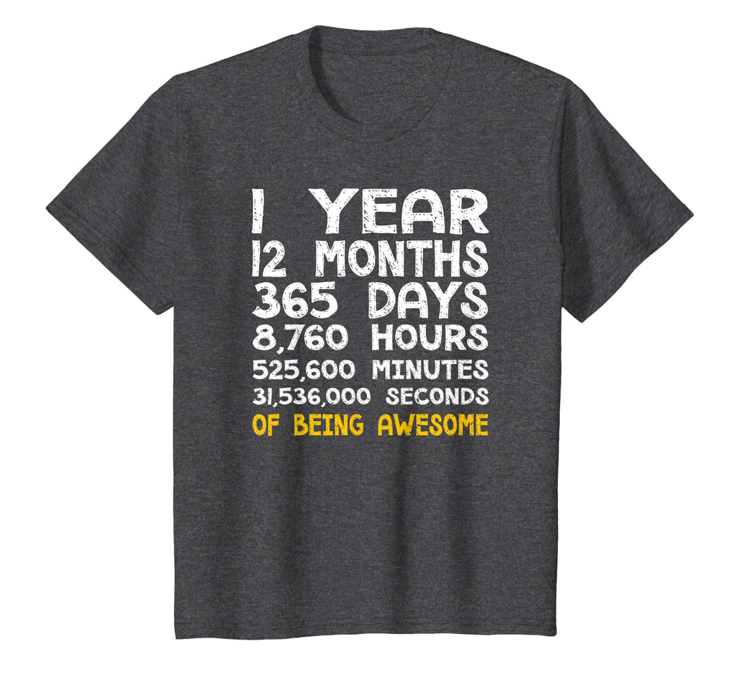 1st Birthday 1 Year Old Being Awesome Anniversary T-Shirt