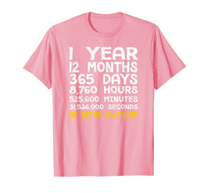 1st Birthday 1 Year Old Being Awesome Anniversary T-Shirt
