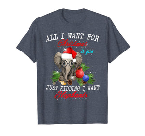 All I Want For Christmas Is Elephants Funny Xmas Gift T-Shirt