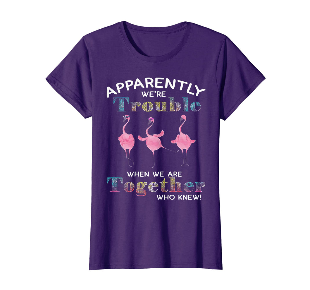 Apparently We're Trouble When We Are Together Flamingo Shirt