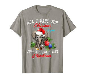 All I Want For Christmas Is Elephants Funny Xmas Gift T-Shirt