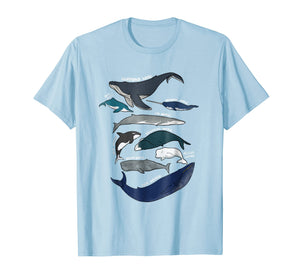 9 Types of Whales Shirt - Whale Breeds Species - Whale Lover