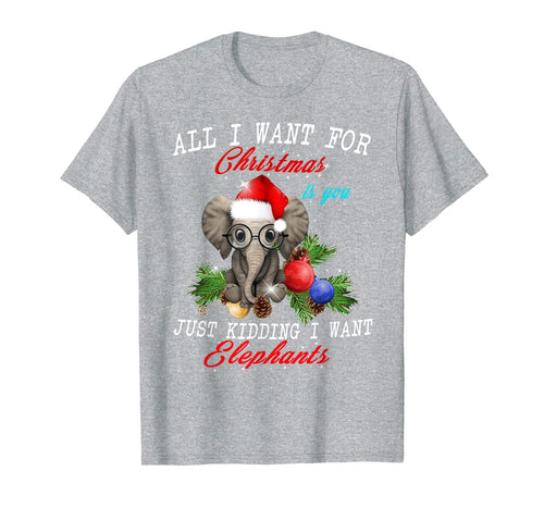 All I Want For Christmas Is Elephants Funny Xmas Gift T-Shirt